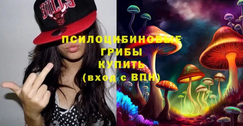 Галлюциногенные грибы Psilocybe  Ревда 